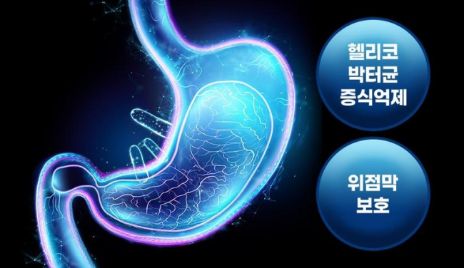신풍제약 헬리코박터균 증식억제 위건강, 위점막 보호 영양제 비타민