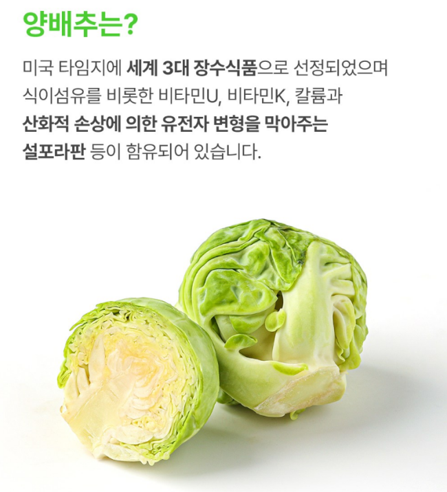 네추럴라이즈 양배추에 쏙 빠지다