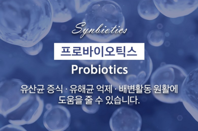 100억 유산균 프로 프리 바이오틱스 락토바실러스 신바이오틱스 유산균 비피더스 비피도박테리움 프롤린 장건강 장용성 캡슐
