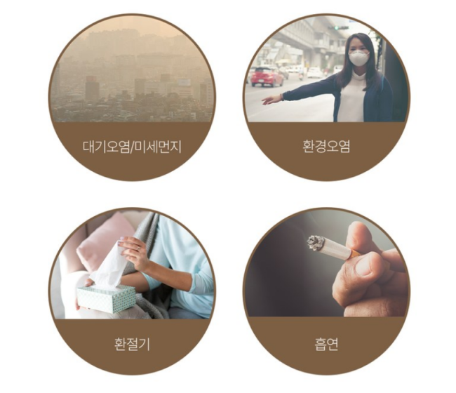유비무환 정화 폐 목 코 건강 기관지 가래 약도라지 좋은 식품 환